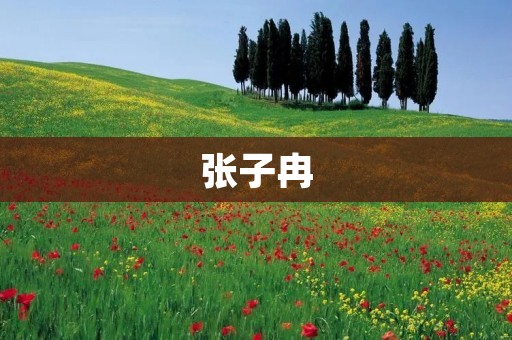 张子冉：中国当代著名女作家