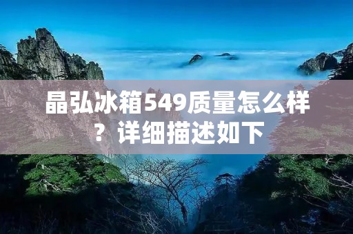 晶弘冰箱549质量怎么样？详细描述如下：
