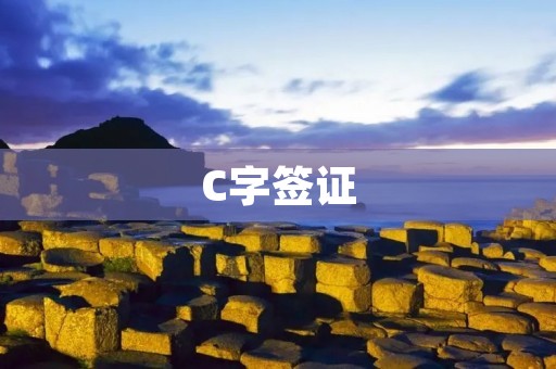 C字签证:打开留学之门的钥匙 C字签证:打开留学之门的钥匙