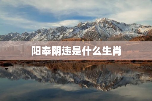 阳奉阴违是什么生肖 阳奉阴违是什么生肖