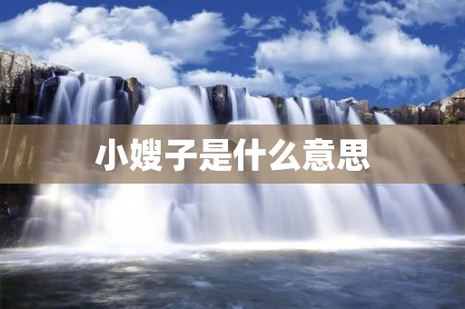 小嫂子是什么意思