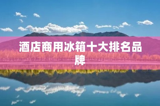 酒店商用冰箱十大排名品牌：选购指南及性能对比