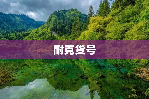 耐克货号:解析耐克最新款运动鞋的货号系统和特点 耐克货号:解析耐克最新款运动鞋的货号系统和特点