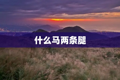 什么马两条腿