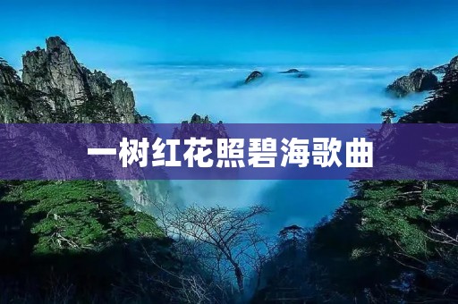 一树红花照碧海歌曲:细数那些将美丽与音乐融为一体的作品 一树红花照碧海歌曲:细数那些将美丽与音乐融为一体的作品