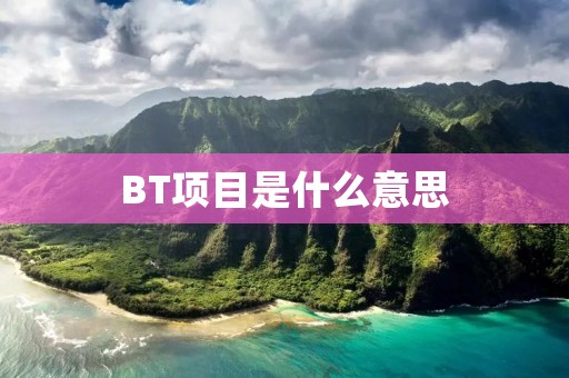 BT项目是什么意思 BT项目是什么意思