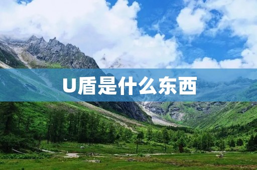 U盾是什么东西