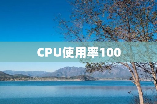 CPU使用率100:如何应对高负载的处理器性能问题 CPU使用率100:如何应对高负载的处理器性能问题