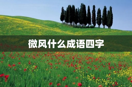 微风什么成语四字