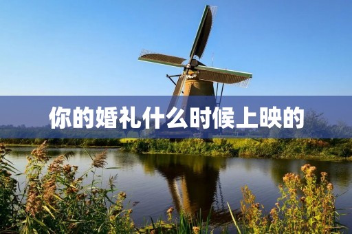 你的婚礼什么时候上映的