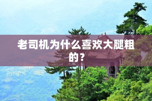 老司机为什么喜欢大腿粗的？