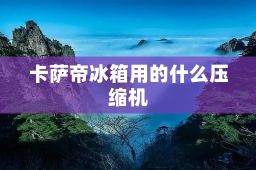 卡萨帝冰箱用的什么压缩机