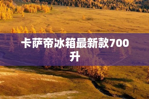 卡萨帝冰箱最新款700升：高效保鲜，领先科技