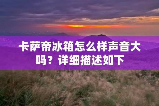 卡萨帝冰箱怎么样声音大吗？详细描述如下：