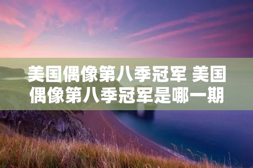 美国偶像第八季冠军 美国偶像第八季冠军是哪一期