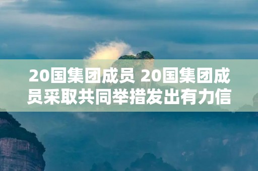 20国集团成员 20国集团成员采取共同举措发出有力信号 20国集团成员 20国集团成员采取共同举措发出有力信号
