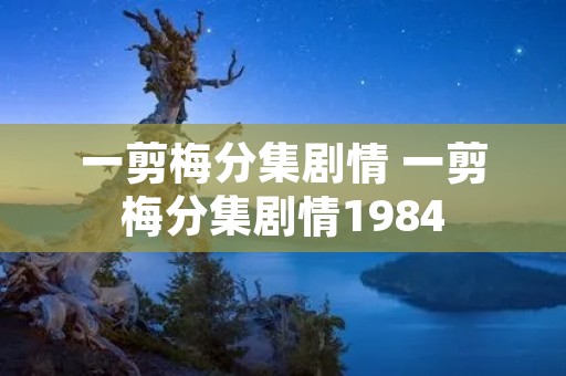 一剪梅分集剧情 一剪梅分集剧情1984