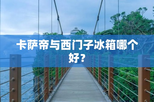 卡萨帝与西门子冰箱哪个好？