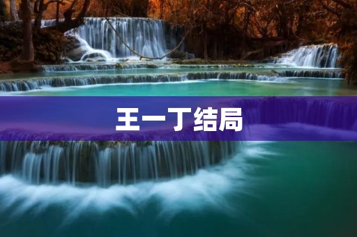 王一丁结局：命运的转折点