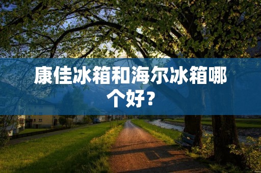康佳冰箱和海尔冰箱哪个好？