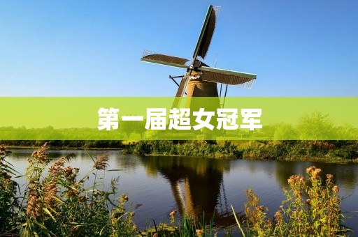 第一届超女冠军:音乐界的新星闪耀登场 第一届超女冠军:音乐界的新星闪耀登场