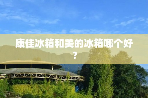 康佳冰箱和美的冰箱哪个好? 康佳冰箱和美的冰箱哪个好?