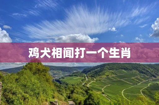 鸡犬相闻打一个生肖：狗年运势详解