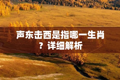 声东击西是指哪一生肖？详细解析