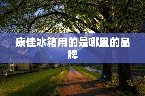 康佳冰箱用的是哪里的品牌：揭秘康佳冰箱背后的品牌之谜