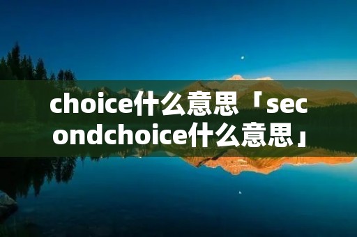 choice什么意思「secondchoice什么意思」