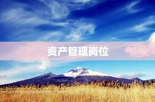 资产管理岗位:职责、技能与前景展望 资产管理岗位:职责、技能与前景展望