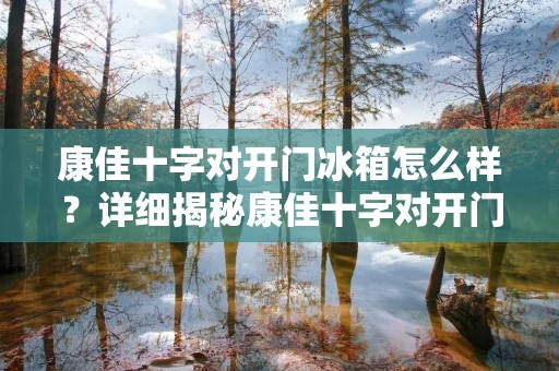 康佳十字对开门冰箱怎么样？详细揭秘康佳十字对开门冰箱的特点与优势