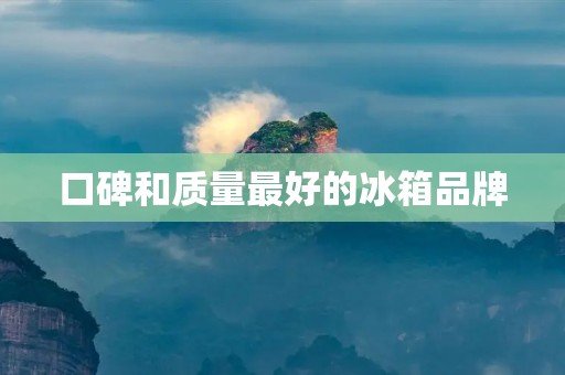 口碑和质量最好的冰箱品牌:为您推荐值得信赖的冰箱品牌 口碑和质量最好的冰箱品牌:为您推荐值得信赖的冰箱品牌
