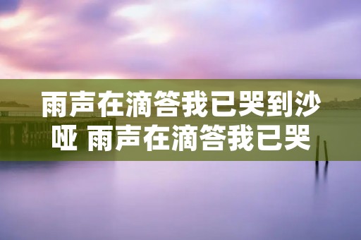 雨声在滴答我已哭到沙哑 雨声在滴答我已哭到沙哑爱过恨过的我