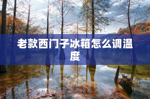 老款西门子冰箱怎么调温度 老款西门子冰箱怎么调温度