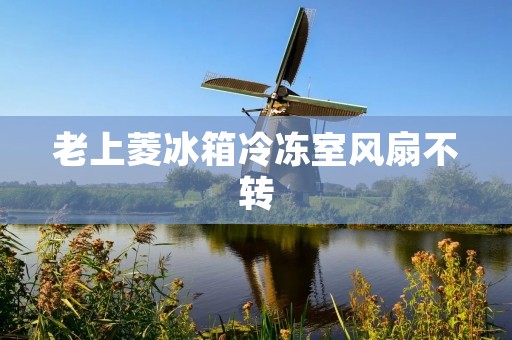 老上菱冰箱冷冻室风扇不转：原因与解决方法