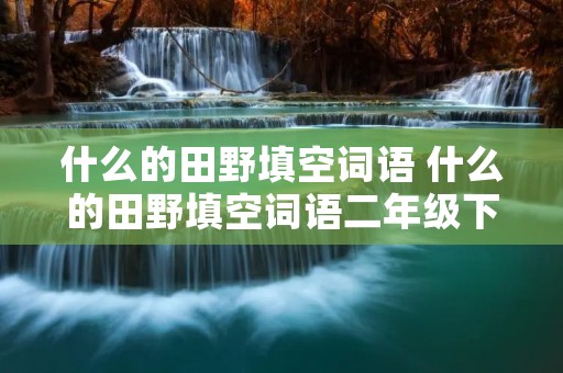 什么的田野填空词语 什么的田野填空词语二年级下册