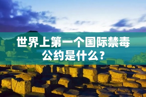 世界上第一个国际禁毒公约是什么？