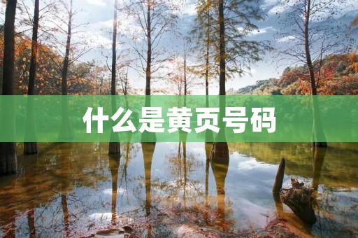 什么是黄页号码