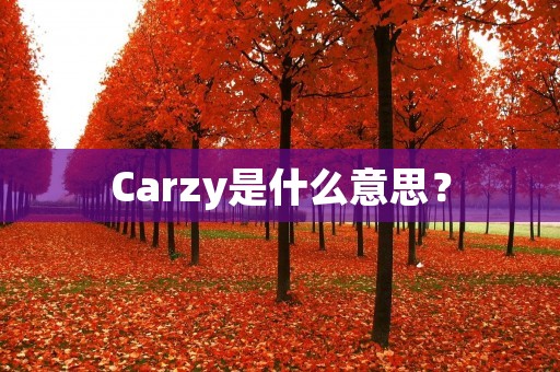 Carzy是什么意思？