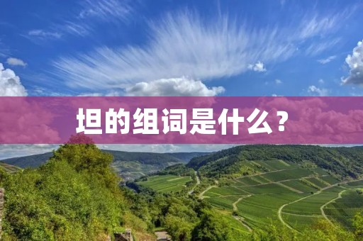 坦的组词是什么? 坦的组词是什么?