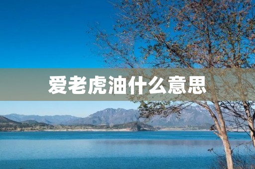 爱老虎油什么意思