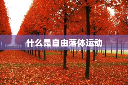 什么是自由落体运动