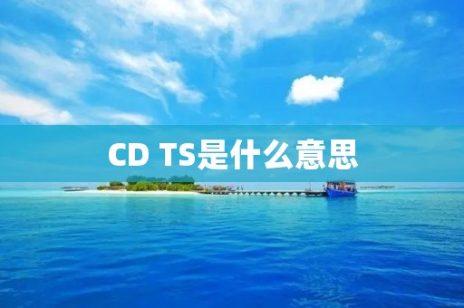 CD TS是什么意思 CD TS是什么意思