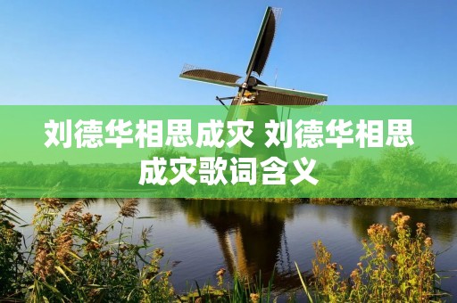 刘德华相思成灾 刘德华相思成灾歌词含义