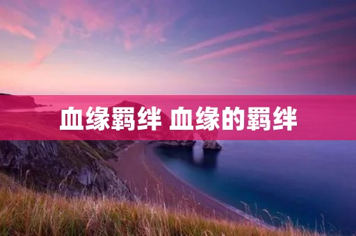 血缘羁绊 血缘的羁绊