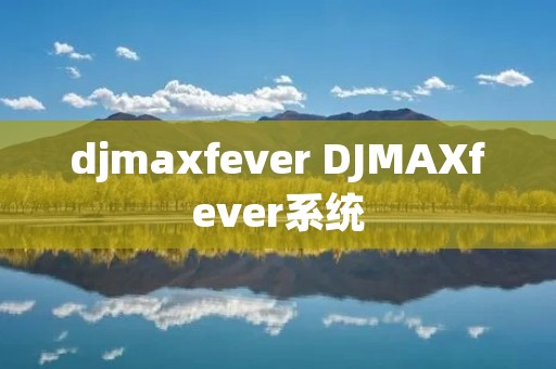 djmaxfever DJMAXfever系统