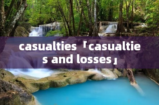 casualties「casualties and losses」