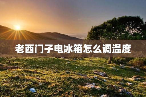 老西门子电冰箱怎么调温度