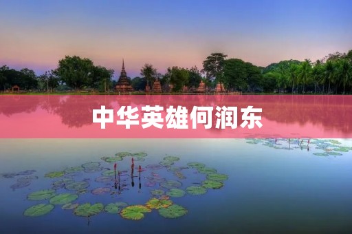 中华英雄何润东:无畏勇者的传奇故事 中华英雄何润东:无畏勇者的传奇故事